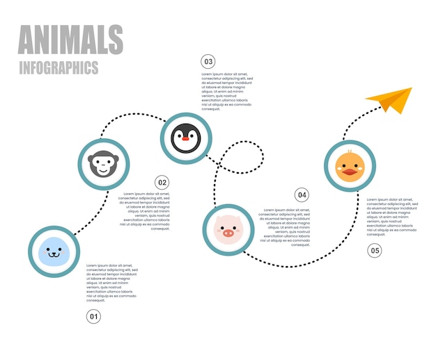 5 stappen van tijdlijn infographic sjabloon voor dierenstudie. Kan worden gebruikt voor workflowlay-out, diagram