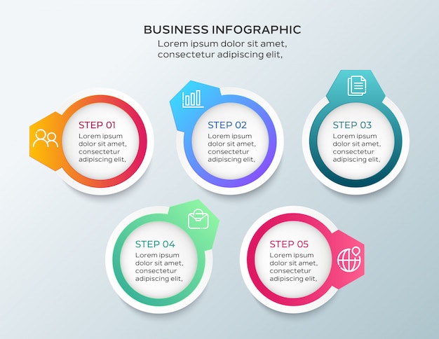 5 steps business infographic