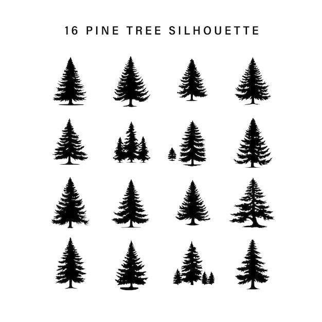 白い背景の 6 つの松の木のシルエット