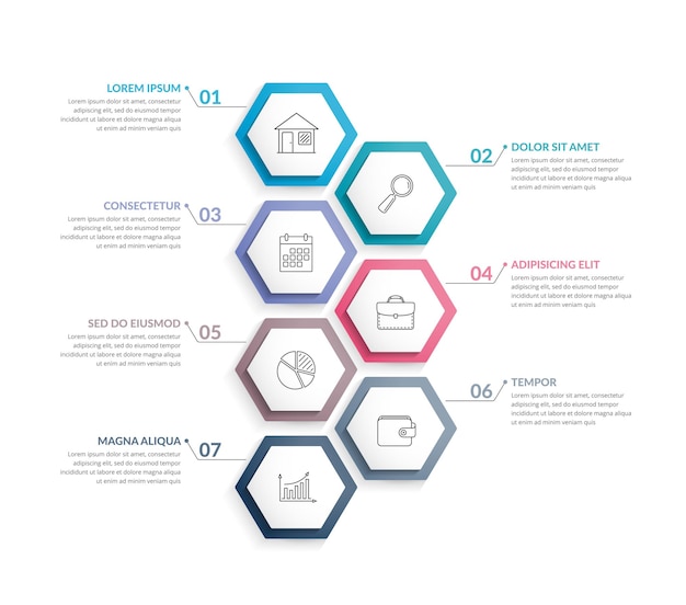 7 stappen Infographics