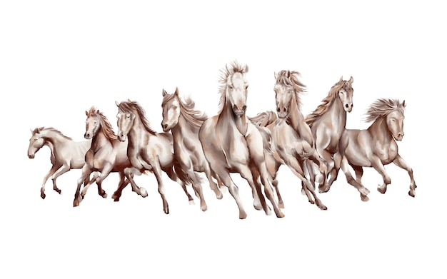 8 running horses black and white watercolor style on white background