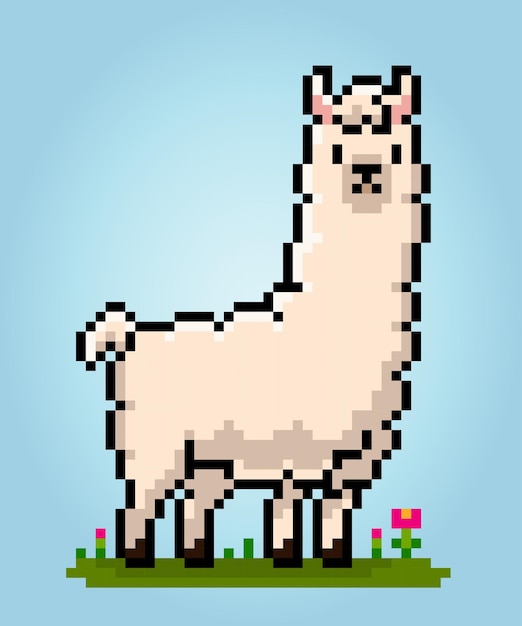 8bit pixel of llama animal pixels in vector illustration for game asset