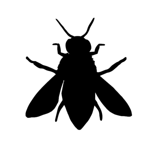 Черно-белое изображение пчелы со словом «муха» внизу.