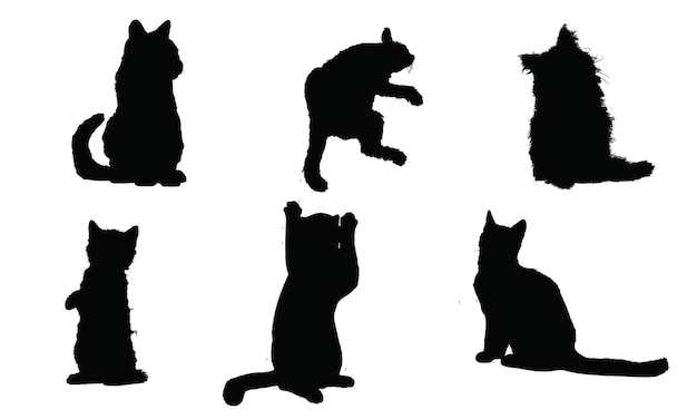 벡터 앞에 고양이라는 단어가 있는 고양이의 검은 실루엣.