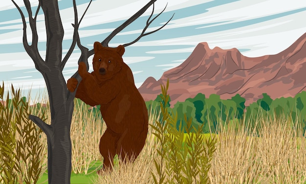 Вектор Коричневый медведь стоит на задних лапах рядом с деревом в долине с кустарниками и травой