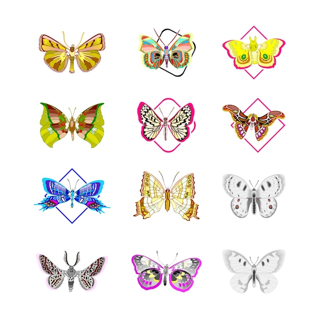 Вектор a collection of butterflies with butterflies and butterflies