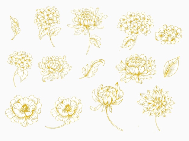 ベクトル ゴールドとホワイトの手描きの花のコレクション。