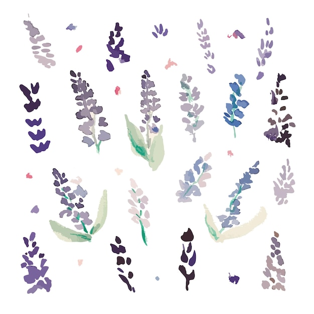 Вектор Коллекция фиолетовых цветов лаванды