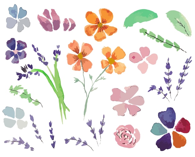 ベクトル 水彩の花と葉のコレクション