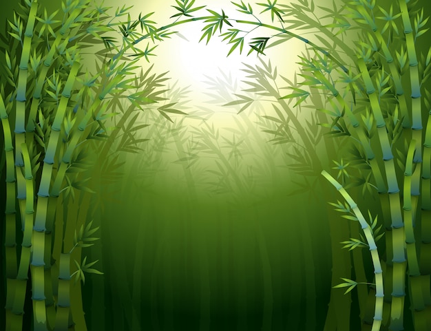 暗い竹の森