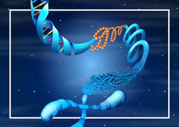 벡터 dna 배경 템플릿