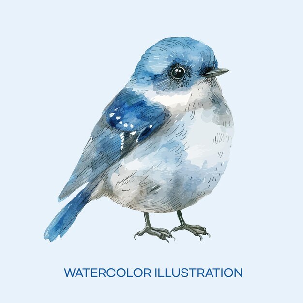Вектор Рисунок голубой птицы со словами акварель на нем