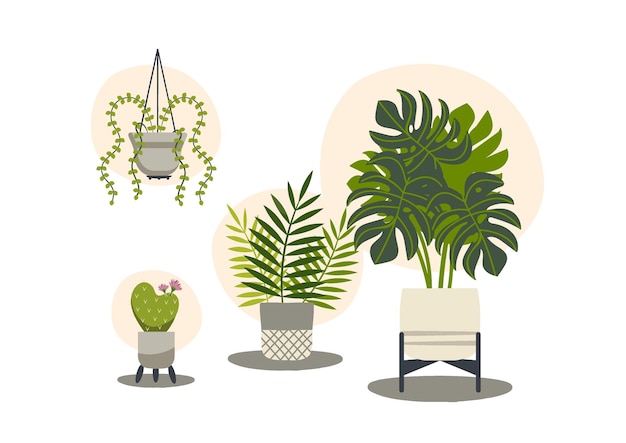 植物の絵