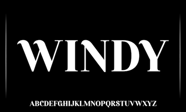 벡터 windy 라는 글씨체