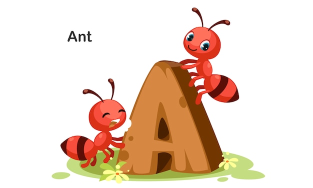 ベクトル antのa