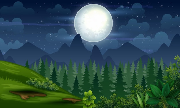 満月の夜の森