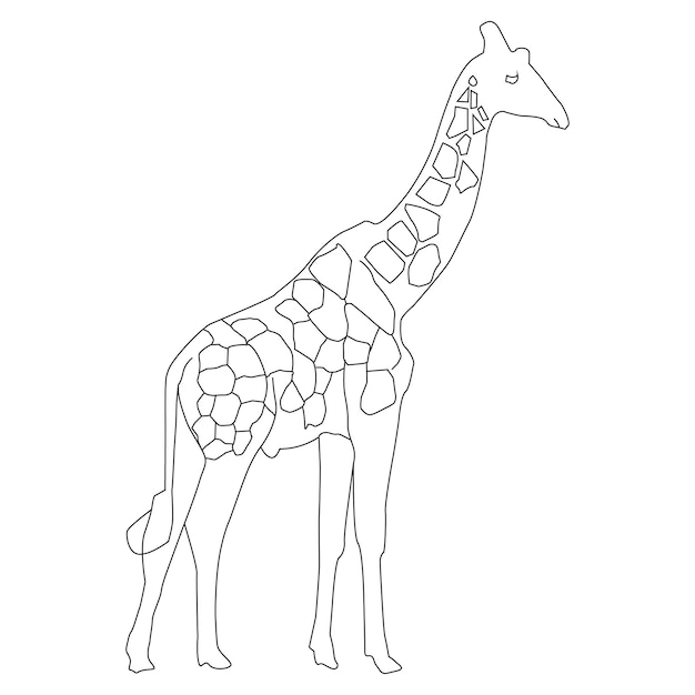 Вектор Жираф показан черно-белым.