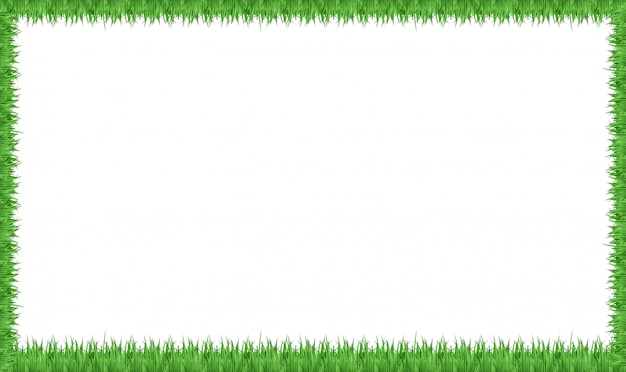 Рамка из зеленой травы
