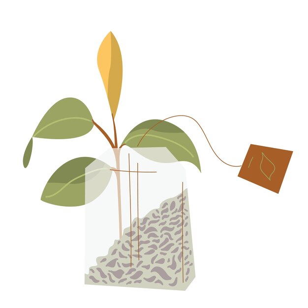 ベクトル 手描きの緑茶ティーバッグ中国茶植物の枝パッケージデザインの要素孤立した白い背景のベクトル図
