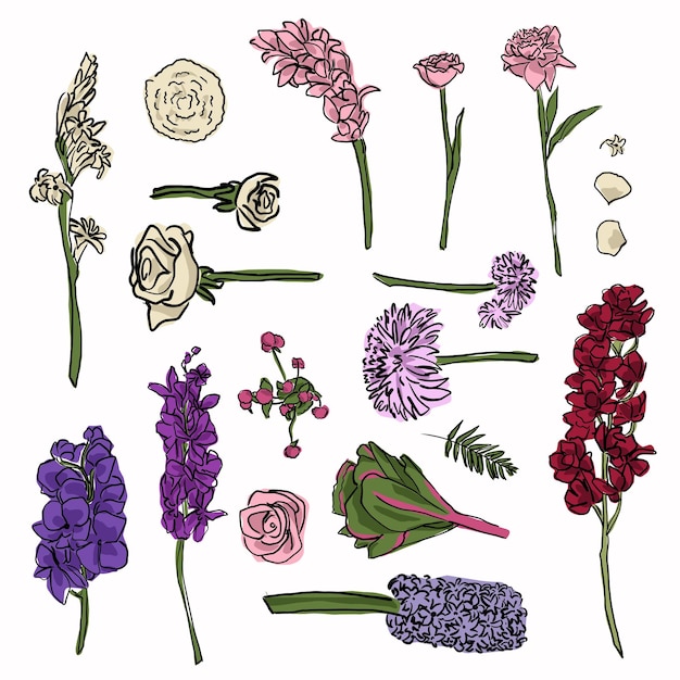 ベクトル 白い背景にさまざまな種類の漫画のスケッチの色の花と葉の手描きのセット