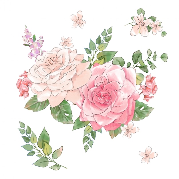 水彩画の柔らかいバラの大規模なセット