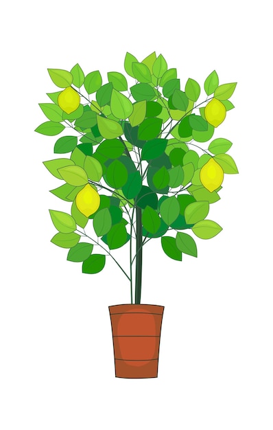 Вектор Лимонное дерево в горшке с лимонами на нем