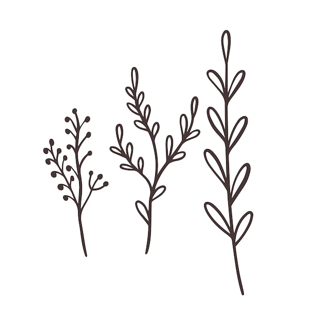 Вектор Линейный рисунок трех растений.