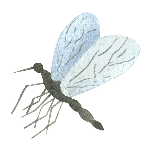 水彩で描かれた蚊かわいい昆虫イラスト吸血昆虫