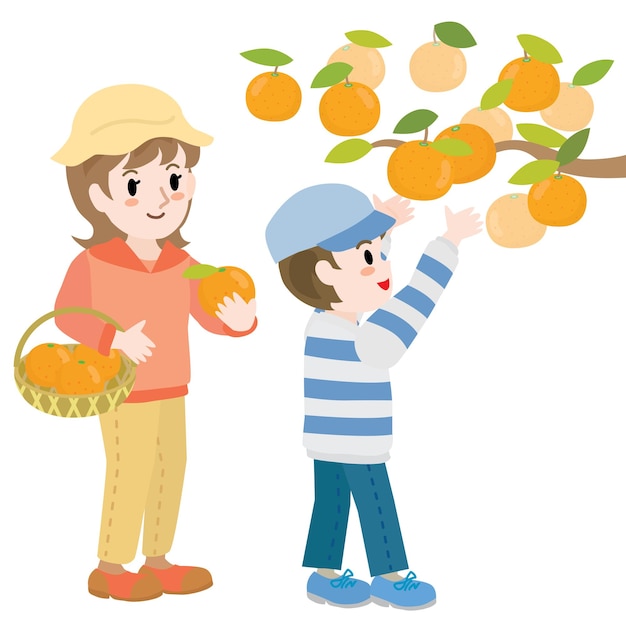 Вектор Мать и мальчик, которые собирают мандарины