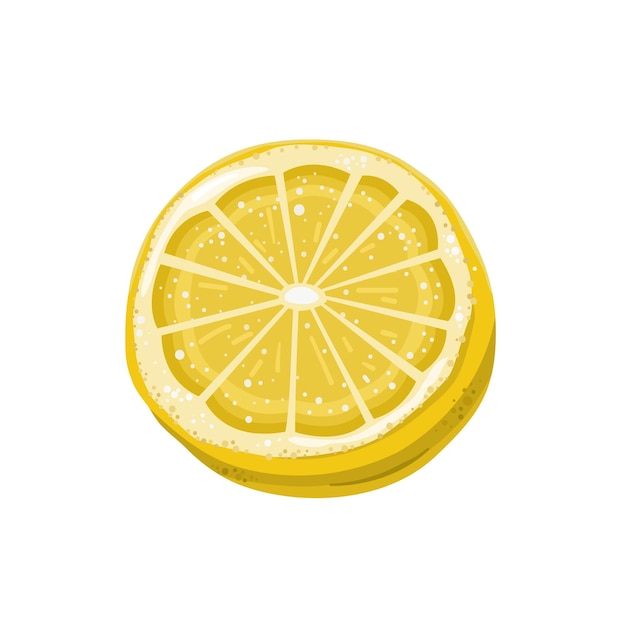 Вектор Кусочек лимона, изолированные на белом фоне свежие цитрусовые
