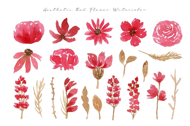 かわいい手描きの赤い野生の花の水彩画のセット