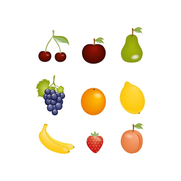 벡터 흰색 배경에 분리된 과일과 열매의 그림 세트. 클립 아트 오렌지, 포도, 체리, 사과. 이국적인 과일과 요리, 베이킹. 요리, 카페 또는 레스토랑의 로고.