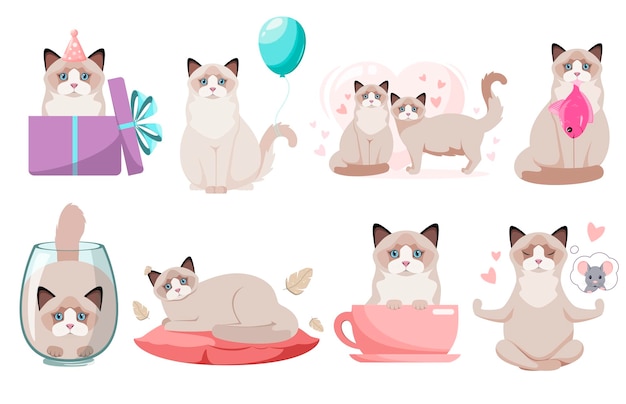 벡터 흰색 배경에 재미있는 ragdoll 고양이 세트. 애완동물. 만화 디자인.