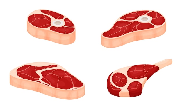 벡터 지방층이있는 생고기 조각 세트. 싱싱한 고기