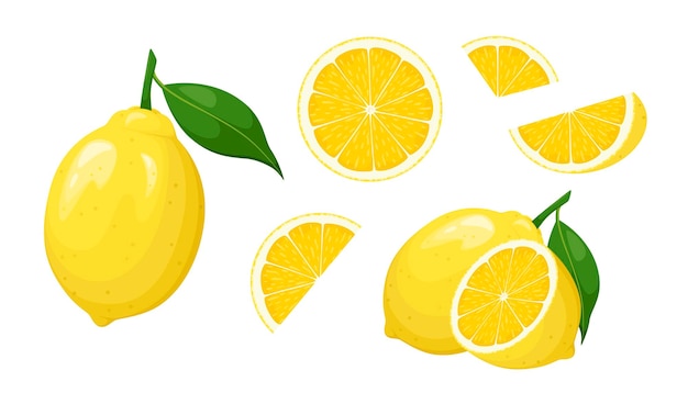 白い背景に熟したレモンのセット。漫画のデザイン。