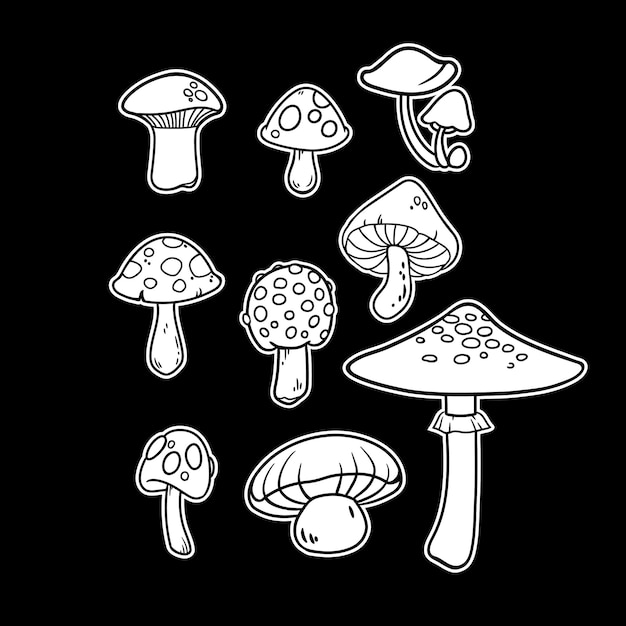 Набор из нескольких белых изображений разных грибов на черном фоне