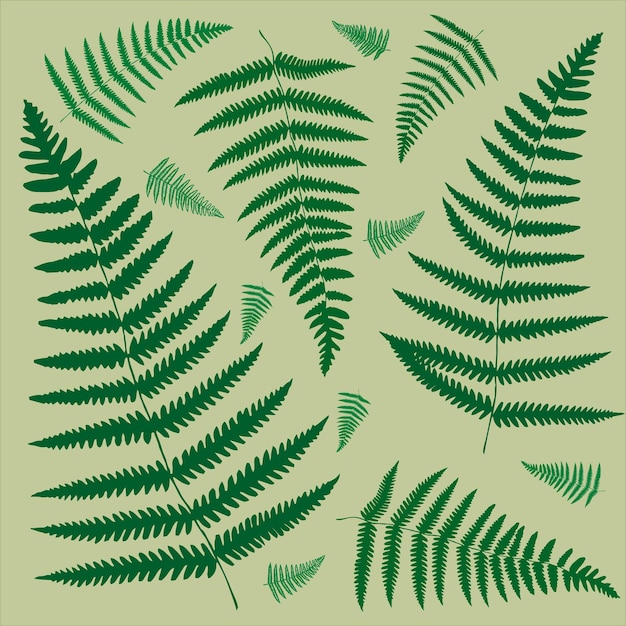 실루엣 고사리의 집합은 녹색 배경 벡터에 나뭇잎