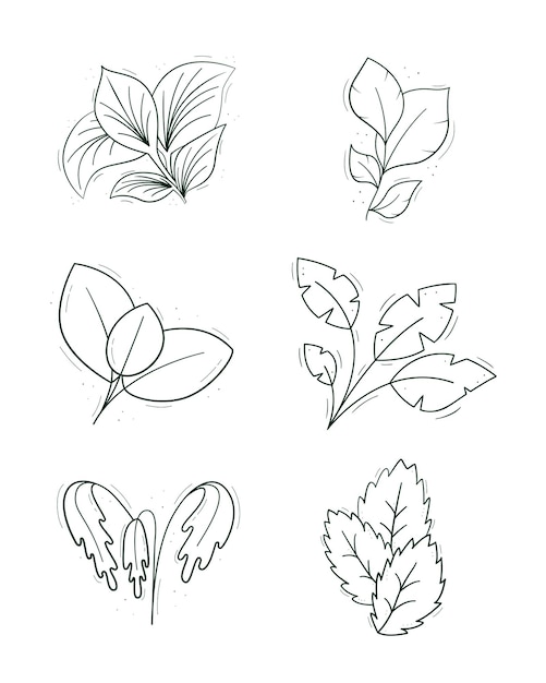 Набор тропических растений с разнообразными листьями контур изолированных объектов на белом