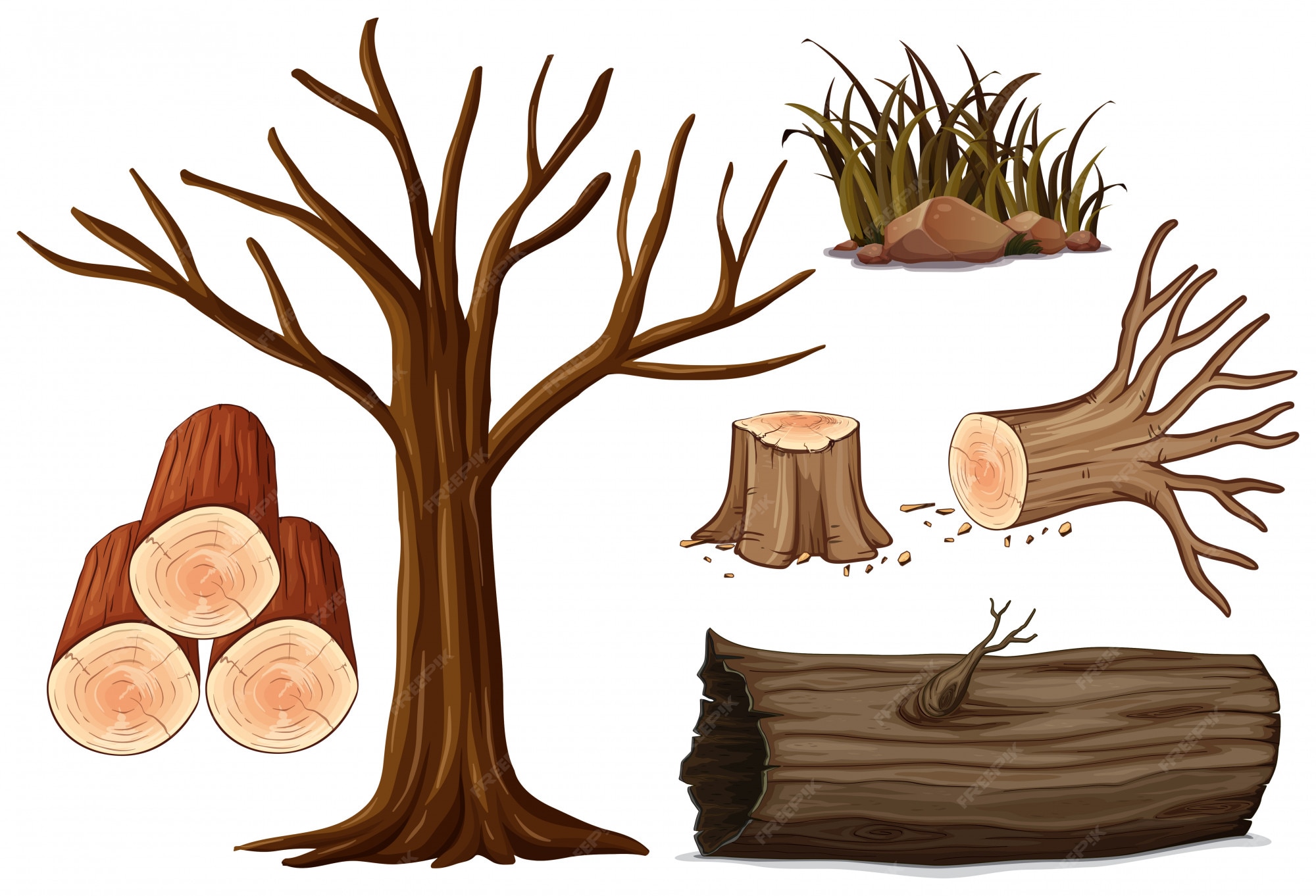 Wood illustration