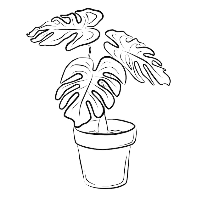열대 잎 팜 몬스테라의 트렌디한 별도 요소 손으로 그린 낙서 그림