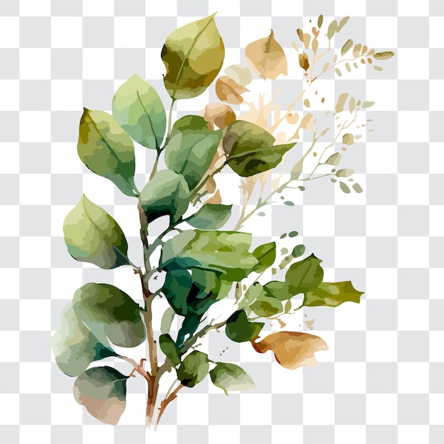 ベクトル 緑の植物の枝を描いた水彩画。