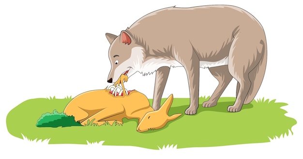 Волк ест мясо мертвого оленя