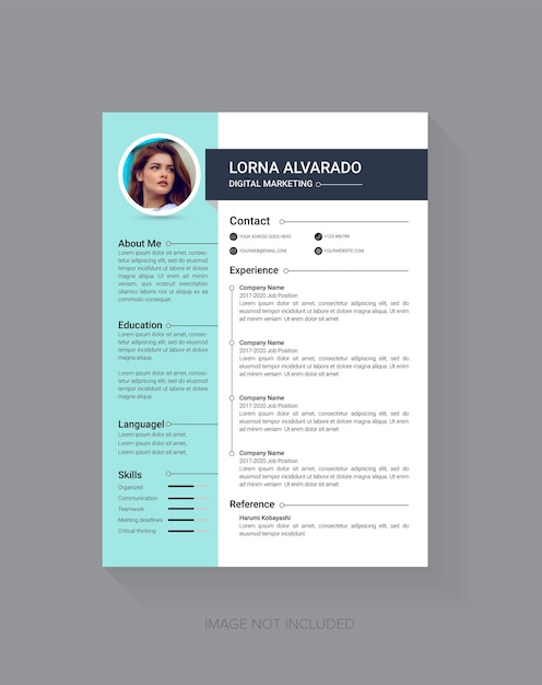 a4 size professional cv resume design