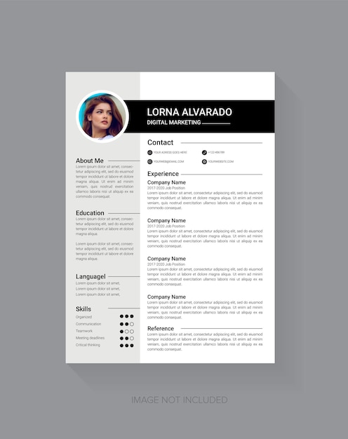 a4 size professional cv resume design