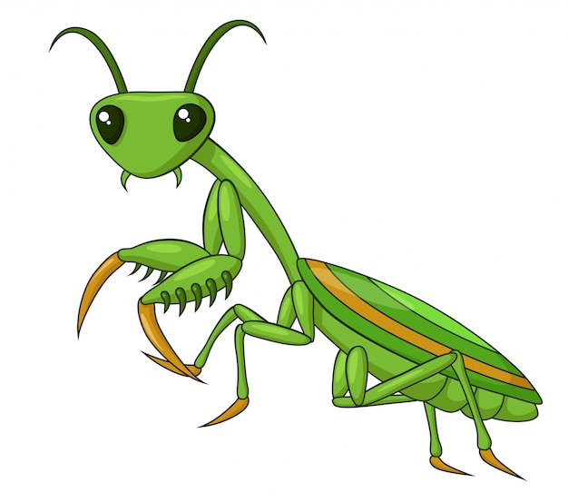 Vector aanbiddelijke praying mantis cartoon