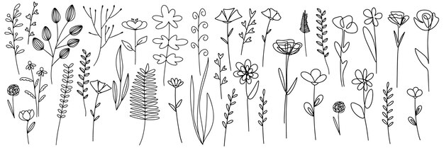 Vector aantal bladeren hand getrokken decoratieve elementen vector illustratie set van planten doodle design