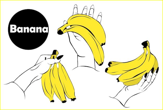 Vector aantal illustraties van vrouwelijke handen met een bos verse rijpe gele bananen geïsoleerd op wit