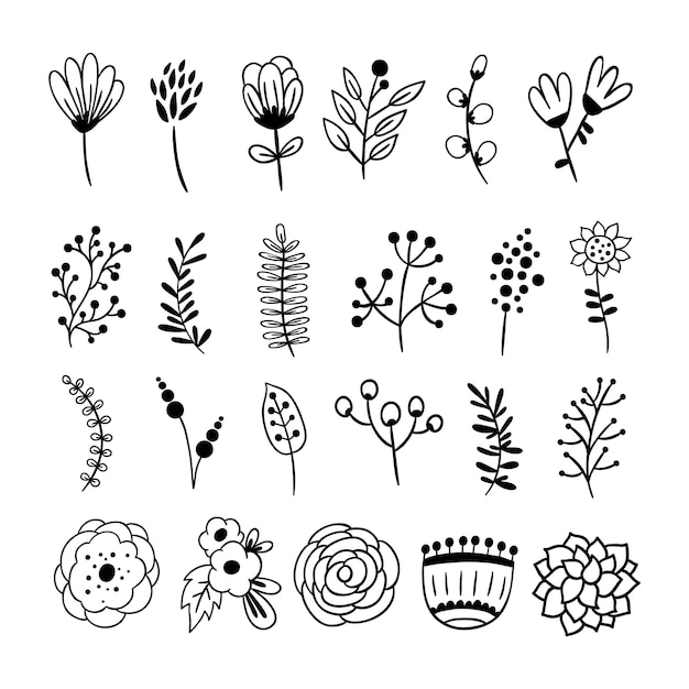 Vector aantal monochrome bloemen en bladeren.