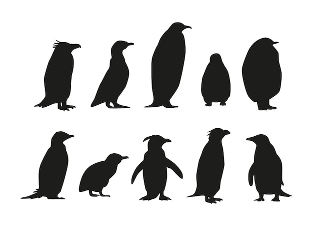 Vector aantal pinguïns verschillende soorten zwarte silhouetten keizer adelie gentoo rockhopper king en macaroni pluizig klein en afrikaans en kinbandpinguïn typen zwart-wit vectorillustratie