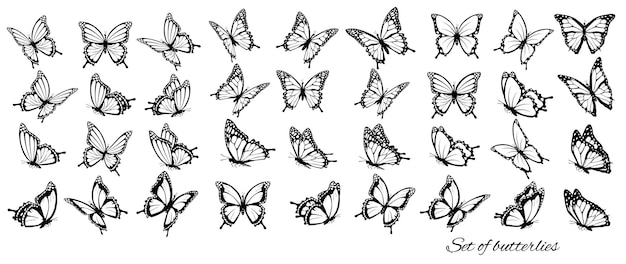 Aantal vlinders vliegen in verschillende richtingen Butterfle silhouet Vector